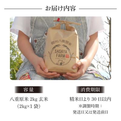 ふるさと納税 東御市 令和7年新米受付!八重原米2kg(2kg×1袋)玄米　※2025年10月以降順次発送|笹屋農園 |  | 01