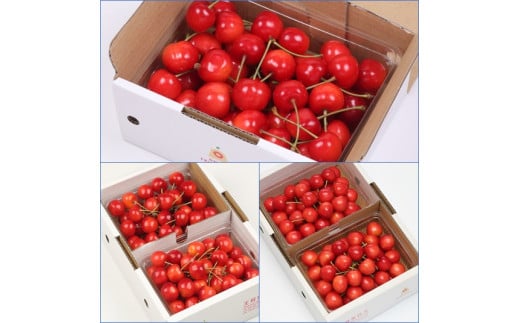 08-03-041　さくらんぼクラブ(定期便)全3回