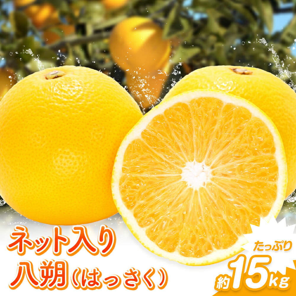 【ふるさと納税】八朔（ネット入）約15kg（3L～Lサイズ）JAわかやま 紀の里地域本部《1上旬-4中旬に出荷予定(土日祝除く)》和歌山県 岩出市 産地直送 みかん 八朔 柑橘 果物 フルーツ ビタミンC たっぷり
