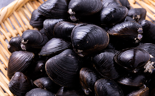 【市場直送!】青森十三湖産 冷凍砂抜き済み 大粒しじみ貝(250g×10P)【配送不可地域：離島】