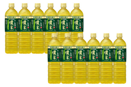 《定期便2ヶ月》お～いお茶 濃い茶 伊藤園 ＜1L×12本＞【1ケース】