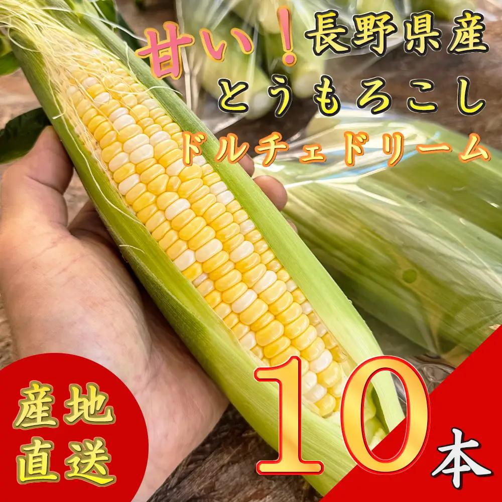 【先行予約】【期間限定】長野県長和町産　黒耀水育ちのあまいとうもろこし 人気品種「ドルチェドリーム」10本入り とうもろこし セット 冷蔵便 新鮮スイートコーン4kg 朝採れトウモロコシ