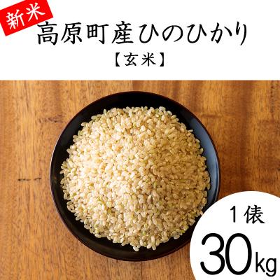 ふるさと納税 高原町 【令和8年産】宮崎県高原町産ひのひかり玄米30kg TF851