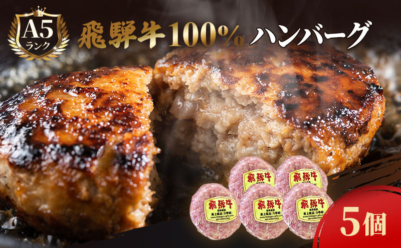 
飛騨牛 ハンバーグ ロースバーグ 150g×5枚 計750g 飛騨牛100% 和牛 牛肉 ブランド牛 おかず 惣菜 焼くだけ 簡単調理 BBQ バーベキュー キャンプ アウトドア 炭火
