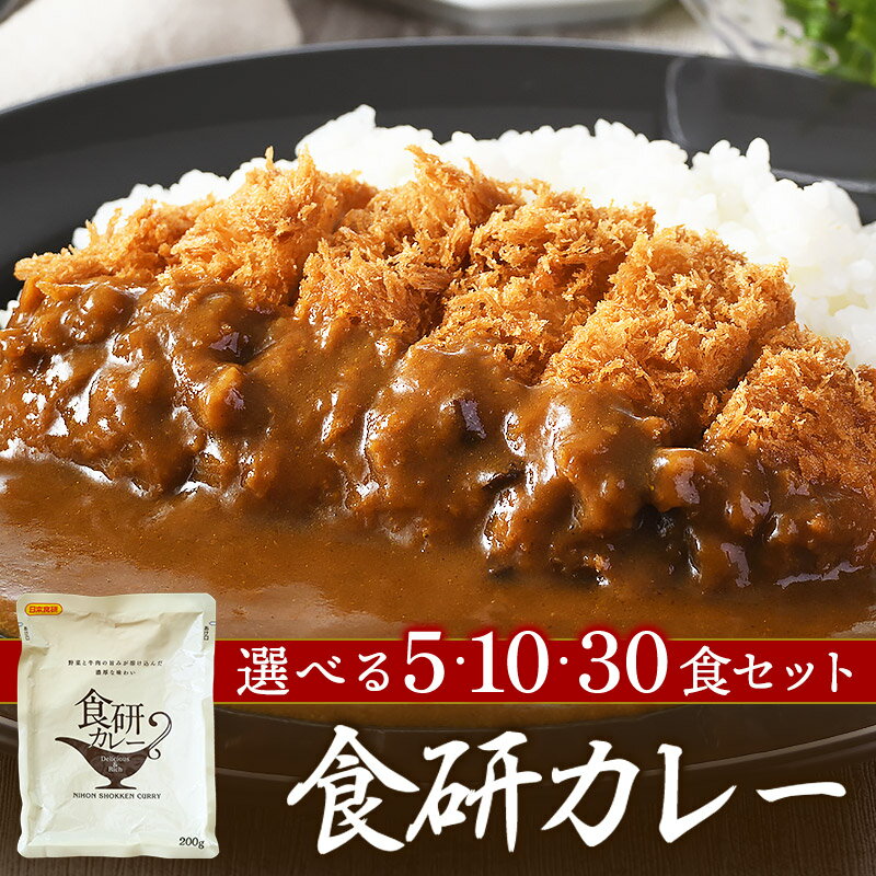 【ふるさと納税】食研カレー（200g×5袋～30袋）カレー レトルト 日本食研カレー レトルトカレー カレーセット ビーフカレー 本格 ご当地 30袋 一人暮らし 今治 食べ物 常温 家庭用 加工品 国産 日本食研 愛媛ふるさと納税 今治市 ホテル 業務用 非常食【VB02360】
