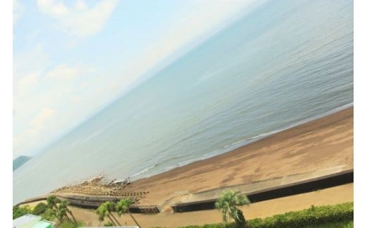 ＜指宿シーサイドホテル1泊2食付宿泊券＞※1名様分(指宿シーサイドホテル/060-1186) 宿泊 宿泊券 ホテル 指宿 鹿児島 宿 旅行 旅