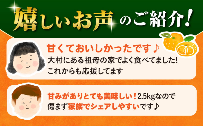 〈先行予約〉【11月中旬頃～1月中旬配送】長崎県産 温州みかん 約2.5kg 大村市 山光農園 [ACAI001]