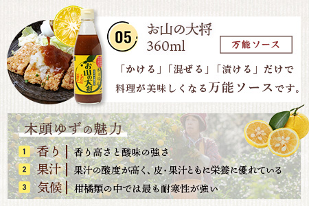【福袋】簡単に料理が楽しめる調味料セット(B)【徳島 那賀町 木頭柚子 ゆず ユズ 柚子 ポン酢 ぽん酢 柚子ポン酢 万能 調味料 タレ ソース 料理の素 瓶 お取り寄せ 手作り 詰め合せ 5種 福袋