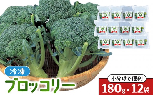 
            JA香川県　冷凍ブロッコリー12袋【 ブロッコリー  冷凍 カット 野菜 冷凍ブロッコリー 小分け 時短 弁当 簡単 調理 便利 国産 香川県 高松市 】
          