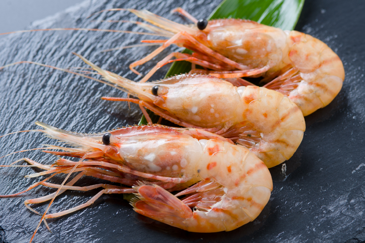 北海道留萌産　漁師採りたてボタンエビ500g _イメージ2