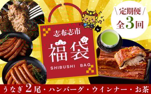 【定期便全３回】志布志市福袋！鰻とお肉のおかず(名水慈鰻2尾＆里山牛ハンバーグ4個＆黒豚MEGUMIウインナー2P＆お茶セット 総計約3kg) うなぎ 鰻 蒲焼き 鹿児島 ハンバーグ 冷凍 ウインナー 黒豚 緑茶 t0084-010