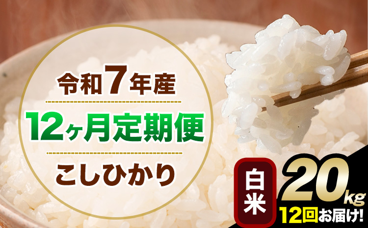【12ヶ月定期便】令和7年産 定期便 こしひかり 白米 定期便 20kg 精米 熊本県産(南阿蘇村産含む) 単一原料米 南阿蘇村《お申し込みの翌月から出荷》---kh7tei_516000_20kg_mo12_mna_h---