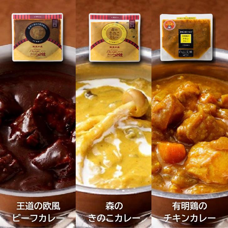 白山文雅カレー 贅沢7個セット：B325-001_イメージ2
