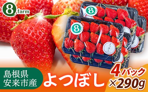 【先行予約】 よつぼし 4パック 【 選べる品種 約290g×4パック 四つ星 イチゴ いちご 苺 ストロベリー 冷蔵 安来市産】【16-FA-13】