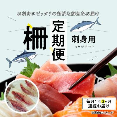 ふるさと納税 天草市 【全3回　連続】お刺身用柵定期便_S121-T03