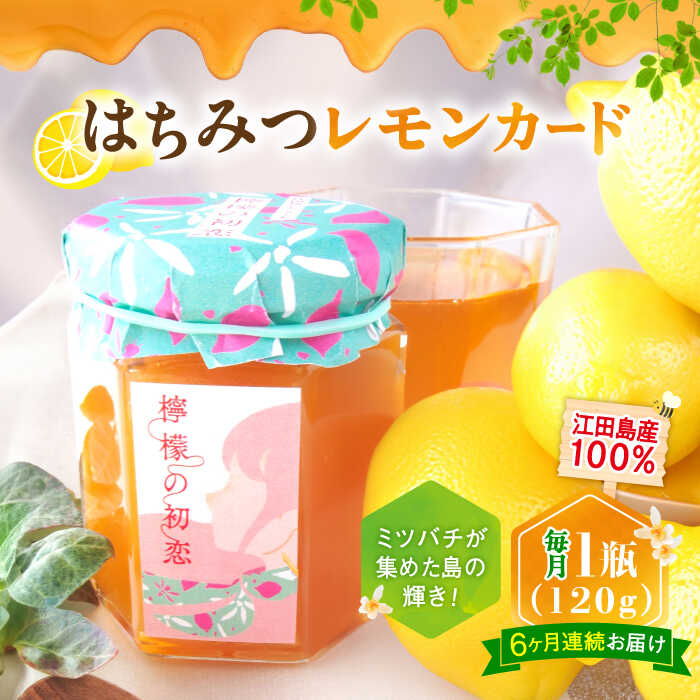 【ふるさと納税】【全6回定期便】江田島産100％ はちみつ レモンカード檸檬の初恋120g×1本 ハチミツ バター 蜂蜜 広島県 江田島市/はつはな果蜂園 [XCD013] ハチミツ 国産 はちみつ 人気 ジャム スプレッド クリーム バター パン