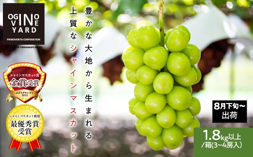 【2026年先行予約_8月下旬～発送】山梨県産シャインマスカット １．８ｋｇ以上／箱　３～４房入 ALPAK007｜おすすめ 人気 山梨県 産地直送 フルーツ 果物 くだもの ブドウ ぶどう シャイン マスカット くだもの 国産 葡萄 新鮮