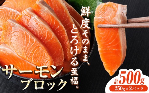 生食用 サーモン ブロック(計500g・250g×2P) 鮭 小分け 真空 パック 冷凍 刺身 シャケ サケ 魚 魚介 【AW-98】【丸正水産】