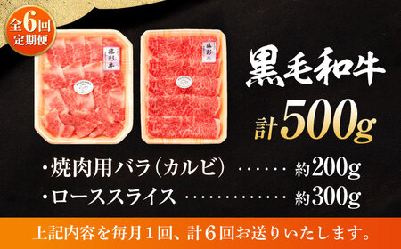 【全6回定期便】くまもと黒毛和牛「藤彩牛」2種の食べ比べ計500g 3900【株式会社フジチク】[BHAD037]