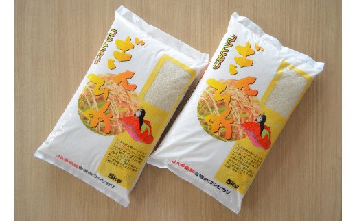 JA08 多気郡産コシヒカリ「ぎんひめ」10kg