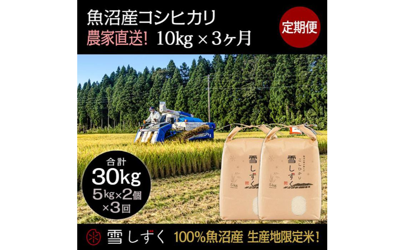 【令和6年産】定期便！魚沼産コシヒカリ【合計30kg】毎月10kg×3回