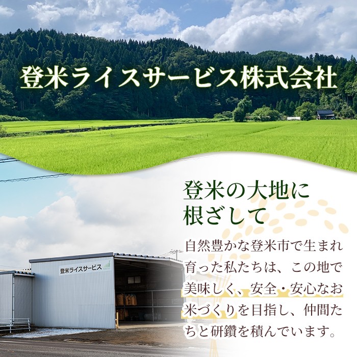 【14営業日以内に発送予定】≪令和7年産≫ コシヒカリ 5kg×1袋 登米市産 お米 おこめ 米 コメ こしひかり 白米 ご飯 ごはん おにぎり お弁当 【登米ライスサービス株式会社】tm634