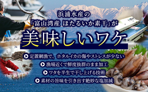 ホタルイカ素干2kg（20g×100袋）：浜浦水産シェアセット　※北海道、沖縄、離島への配送不可