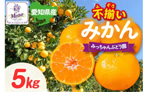 【先行予約】【2026年12月発送】【訳あり】不揃いみかん・5kg×1箱│フルーツ 果物 オレンジ 甘い 産地直送 柑橘 大容量 お得  愛知県 東浦町