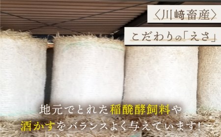 【人気返礼品セット！】牧場直営店の黒毛和牛ハンバーグ 4個＆切り落とし 400g【川崎畜産】[IAX026]