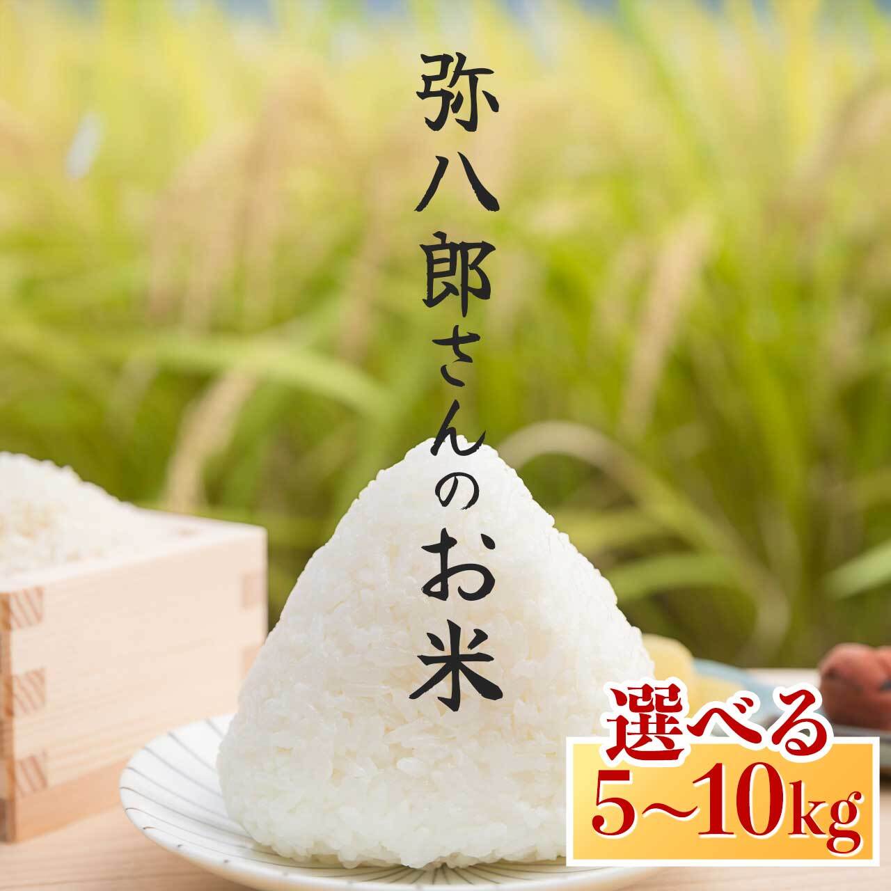 【ふるさと納税】 新米 なつほのか 5kg 10kg 令和7年産 鹿児島県産 新米 こめ 弥八郎さんのお米 | ふるさと納税 白米 お米 精米 ブランド米 弁当 ごはん ご飯 おにぎり 精米 5キロ 鹿児島県 大崎町 お取り寄せ 送料無料