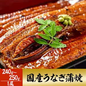 国産うなぎ蒲焼(特大サイズ) 1尾(240g～250g) ふわっと濃厚