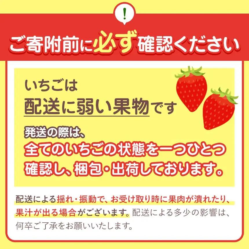 [3月以降発送]いちごの女王 ★ロイヤルクイーン★ 12～15粒 2027年 1～4月上旬発送！【2027年先行予約】栃木県 矢板市産