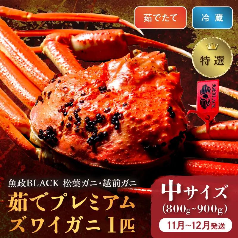 【蟹の匠 魚政】茹で　プレミアムズワイガニ 魚政BLACK（松葉ガニ・越前ガニ）特撰 中サイズ（800～900g） 1匹(11月～12月発送)  蟹