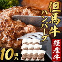 【ふるさと納税】但馬牛 ハンバーグ 10人前 （150g×10個）個包装 牛肉 黒毛和牛 100% 国産 経産牛 和牛 赤身 味付け ほくぶ バーベキュー bbq キャンプ アウトドア 焼肉 小分け 簡単調理 セット 詰め合わせ 詰合せ 冷凍 お弁当 おかず 020AA09N.