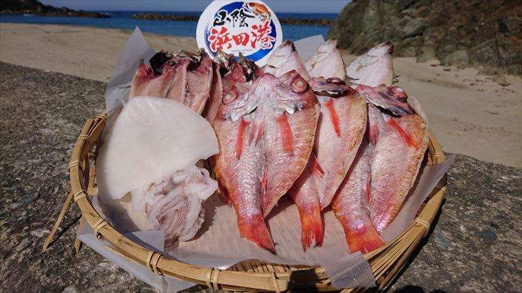 【ふるさと納税】しまね浜田の美味しいのどぐろ あじ カレイ 白いか 一夜干しセット 魚介類 魚貝類 魚 干物 干もの 一夜干し おかず つまみ セット 詰め合わせ 父の日 【161_1707】