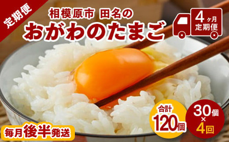 【4ヶ月定期便】【毎月後半発送】相模原市田名のおがわのたまご　ピンク卵 Mサイズ 30個(27個＋割れ補償3個)×4か月| 卵 鶏卵 玉子 たまご 生卵 国産 濃厚 コク 旨味 旨み