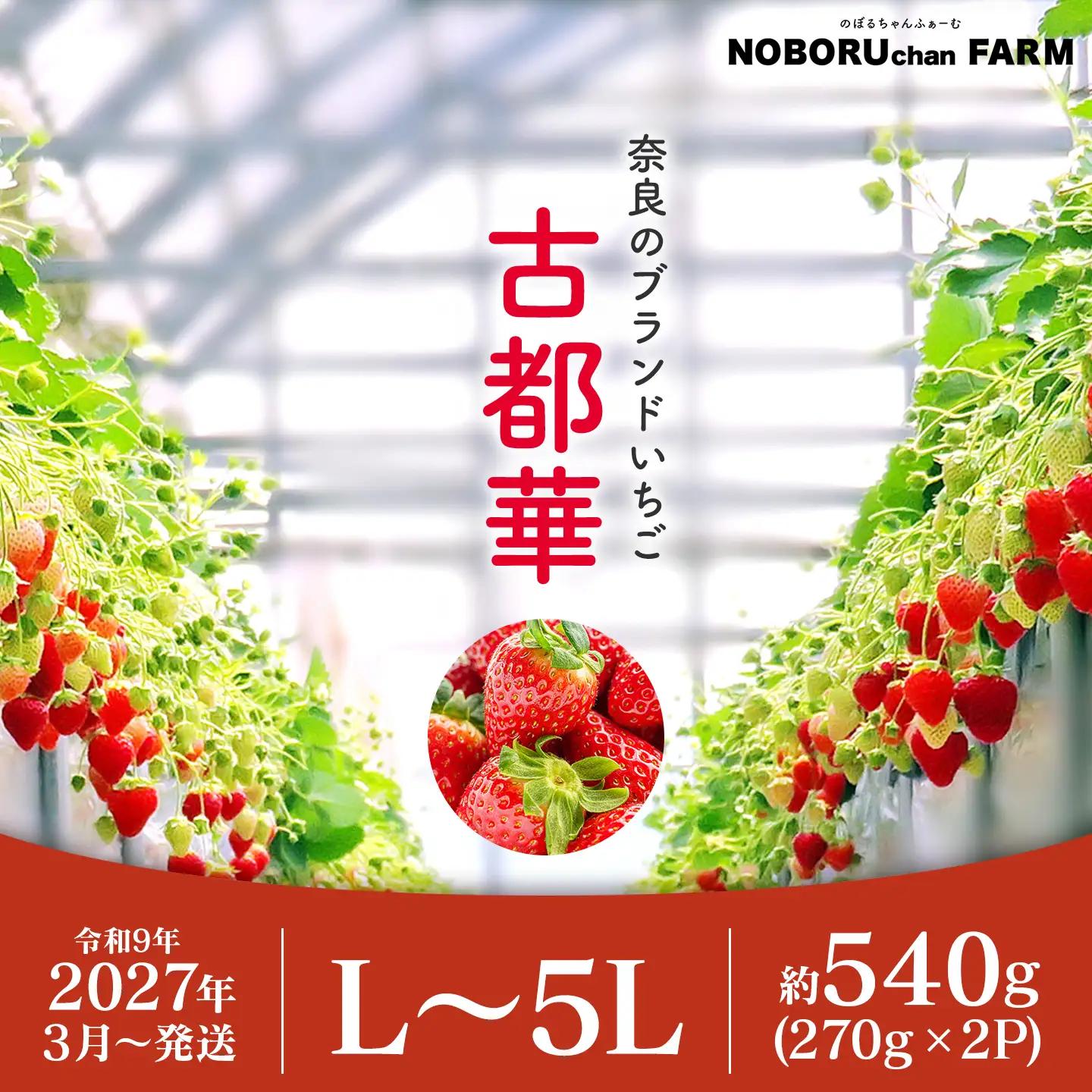 古都華 約540g(270g×2パック)3月発送 idm009