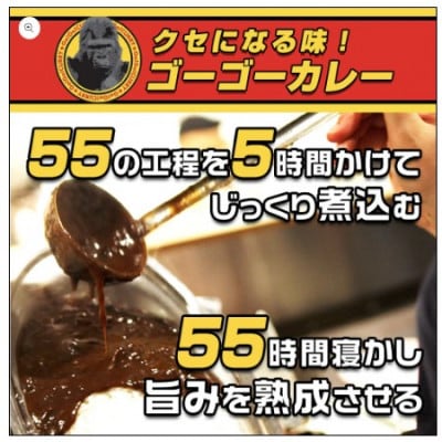 「元気の源」ゴーゴーカレー3種アソート