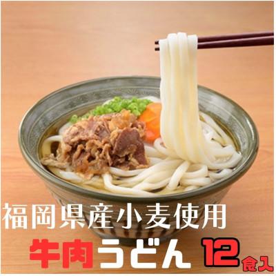 ふるさと納税 豊前市 フジギク牛肉うどん　249g(12食入り)