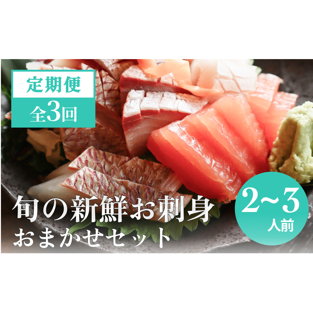 【３回 定期便】 氷見漁港朝どれ！旬の新鮮鮮魚おまかせセット 2,3人前（３月・６月・１１月）