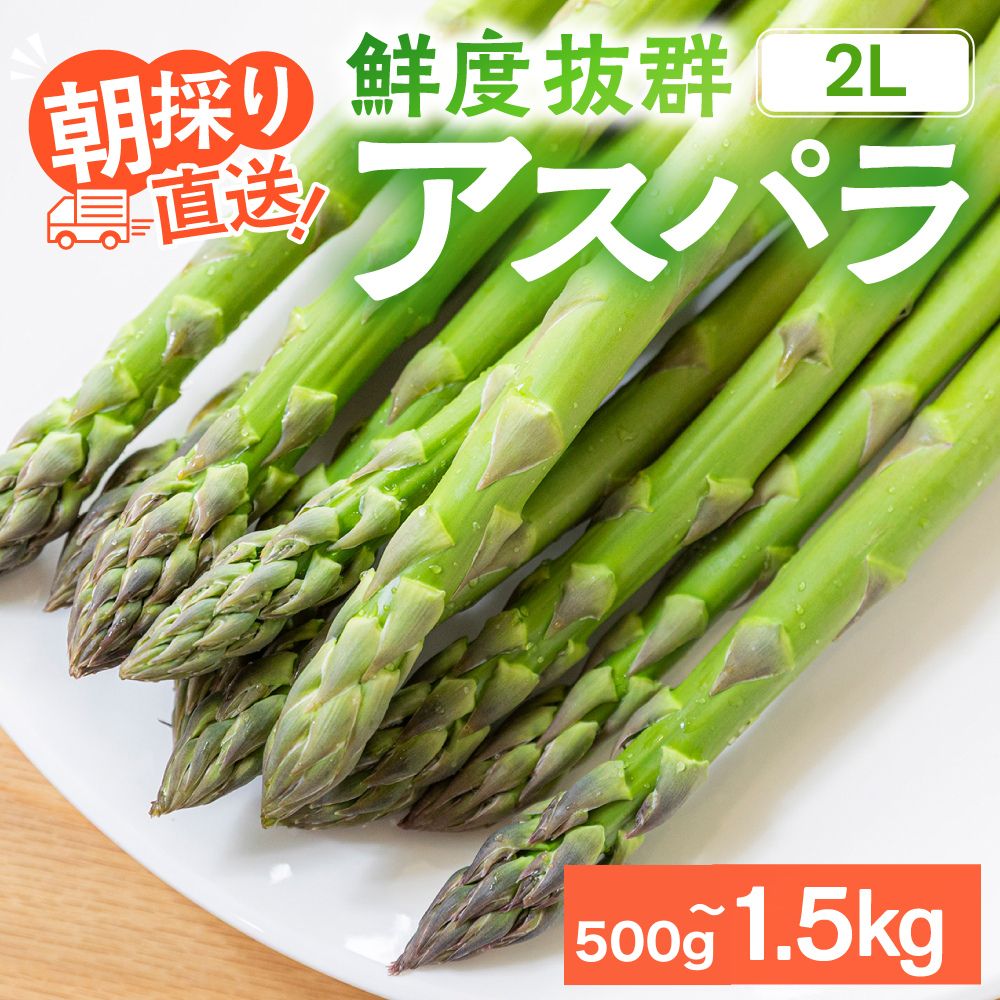 【ふるさと納税】【2026年発送・先行受付】2Lサイズ以上 ひだっこアスパラガス 500g 0.5kg 1.5kg 選べる | アスパラ 野菜 やさい 産地直送 春 夏野菜 採れたて グリーンアスパラガス 期間限定 人気 おいしい ひだっこの里 CM003VC01 CM002VC01