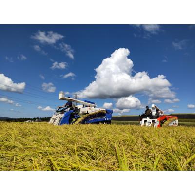 ふるさと納税 十日町市 令和6年産　農家直送!魚沼産こしひかり　特別栽培米「白羽毛の米」精米10kg |  | 03