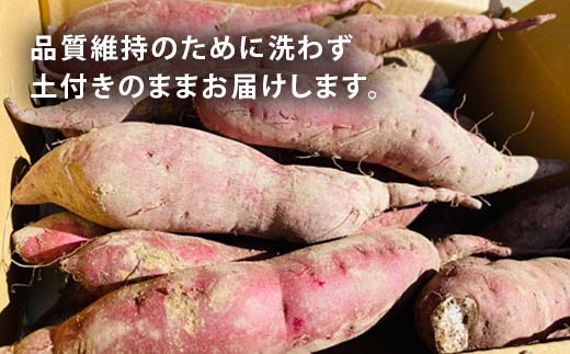 栽培期間中、農薬・化学肥料不使用 ホクホク甘～い『至福の紅あずま』1kg（3～5本） さつまいも サツマイモ 山形県 新庄市 F3S-2322