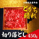 【ふるさと納税】十勝鹿追産牛肉「とかち晴れ」　切り落とし 450g 【ふるさと納税 人気 おすすめ ランキング 牛肉 肉 牛 ビーフ 切り落とし 牛切り落とし 切り落とし牛肉 霜降り牛肉 北海道 鹿追町 送料無料】 SKY004