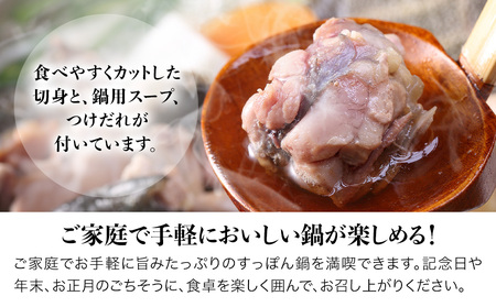 耶馬溪すっぽん鍋セット ( 2人前 ) スープ ・ つけだれ 付き | すっぽん 料理 コラーゲン エキス 肉 大分県 中津市