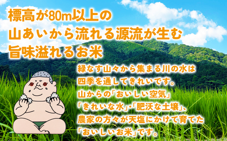 【先行予約】里山のこしひかり ほくの里 5kg × 1袋【12月配送】| 新米 令和7年産 コシヒカリ お米 コメ こめ  5キロ 白米 精米 国産