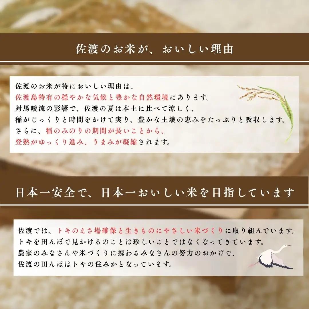 コシヒカリ 精米 5kg 令和7年 | 新潟県 佐渡市 コシヒカリ