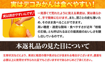 デコポン ( 不知火 )と同品種！デコみかん 熊本県産 (津奈木町産含む) 訳あり 約1kg前後 柑橘《2月中旬-4月末頃出荷》 みかん フルーツ 不知火 先行予約 訳あり 訳アリ ご家庭用 でこみか