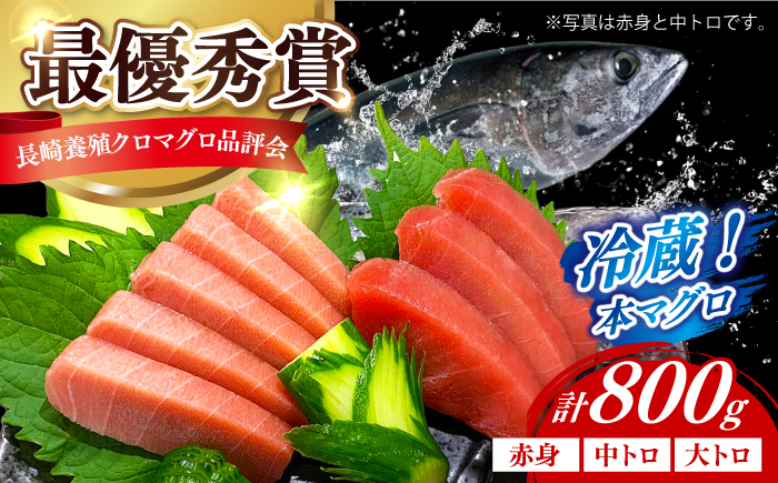 
            【長崎県養殖クロマグロ品評会最優秀賞！】 五島列島産養殖 生 本マグロ 赤身 中トロ 大トロ 計約800g マグロ まぐろ 鮪 刺身 ブロック 冷蔵 【上五島町漁業協同組合】 [RBN017]
          