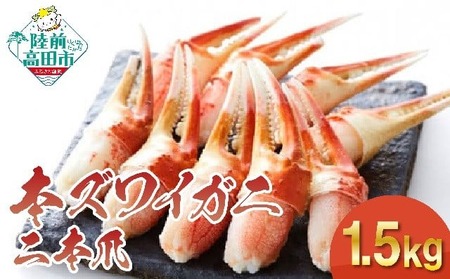 カニ 本ズワイガニ二本爪 1.5kg 【お手軽】 料理 寿司 冷凍 ｽﾞﾜｲｶﾞﾆｽﾞﾜｲｶﾞﾆ